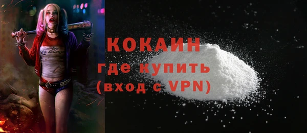 хмурый Невель