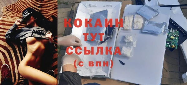 хмурый Невель