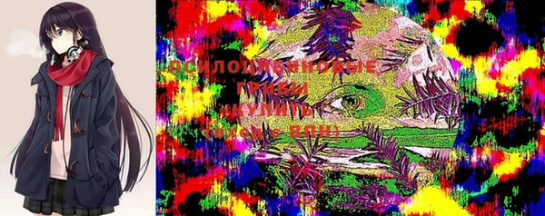 соль ск Протвино