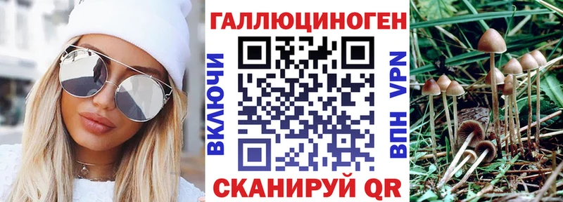 Псилоцибиновые грибы мицелий  площадка официальный сайт  Орск  omg tor 