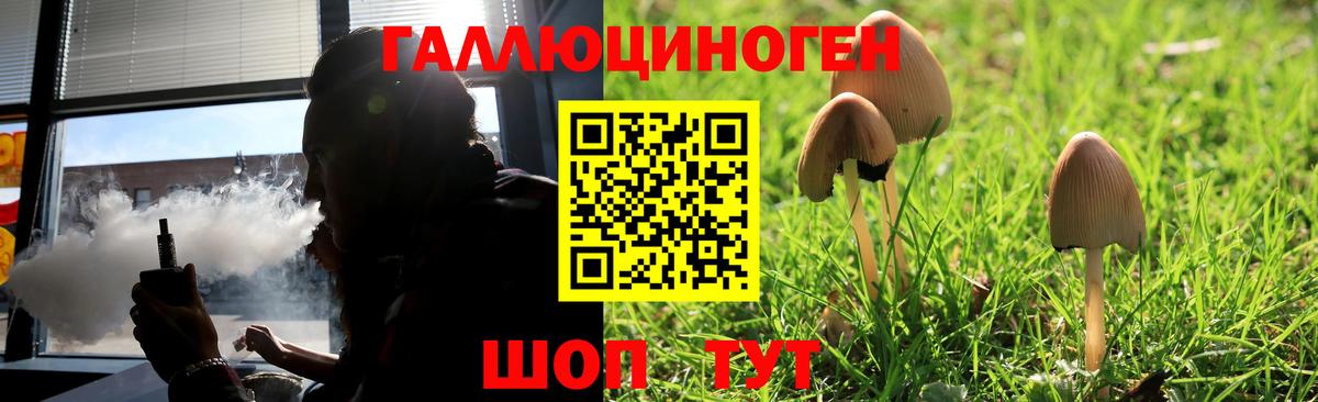 Орск  Псилоцибиновые грибы Psilocybe  закладки  Галлюциногенные грибы Psilocybe  Вход с VPN 